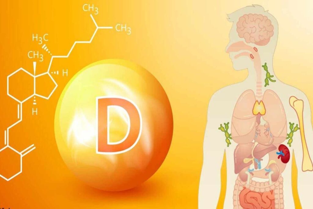 A vitamina D é um nutriente essencial com funções críticas no corpo humano, especialmente no que diz respeito ao metabolismo ósseo e à regulação do cálcio. Vamos mergulhar mais fundo nas curiosidades sobre a vitamina D, suas funções, como obtê-la e quando é necessário se preocupar com seus níveis no organismo